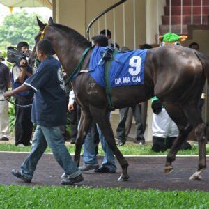 SUNDAY’S PENANG RACE CARD .